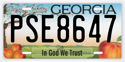 GA license plate PSE8647