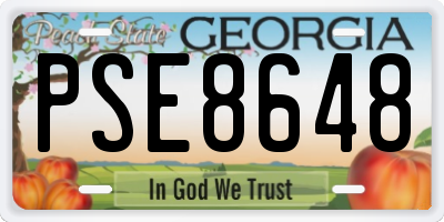 GA license plate PSE8648