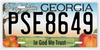 GA license plate PSE8649