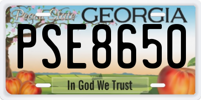 GA license plate PSE8650