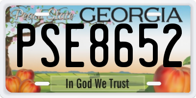 GA license plate PSE8652