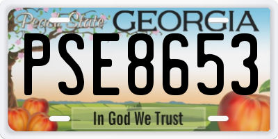 GA license plate PSE8653