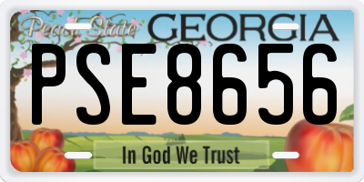 GA license plate PSE8656