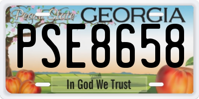 GA license plate PSE8658