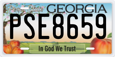 GA license plate PSE8659