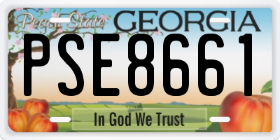 GA license plate PSE8661