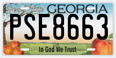 GA license plate PSE8663