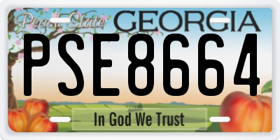 GA license plate PSE8664