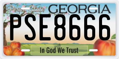 GA license plate PSE8666