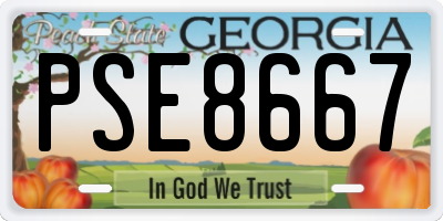 GA license plate PSE8667