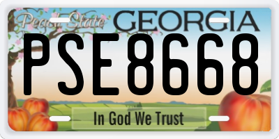 GA license plate PSE8668