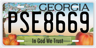 GA license plate PSE8669
