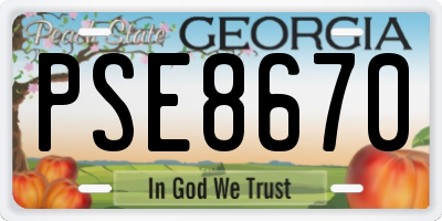 GA license plate PSE8670