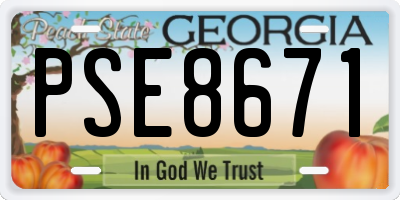 GA license plate PSE8671