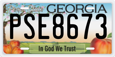GA license plate PSE8673