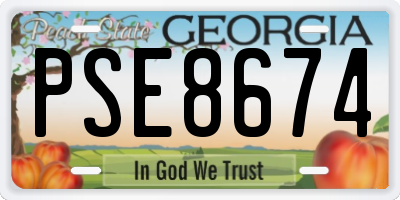 GA license plate PSE8674