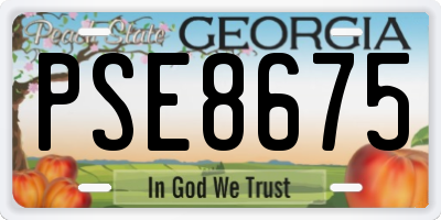 GA license plate PSE8675