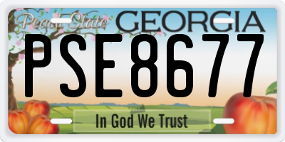 GA license plate PSE8677