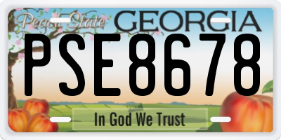 GA license plate PSE8678