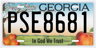 GA license plate PSE8681