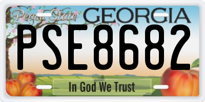 GA license plate PSE8682