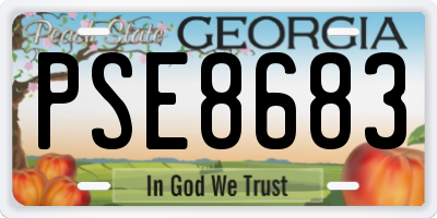 GA license plate PSE8683