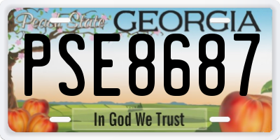 GA license plate PSE8687