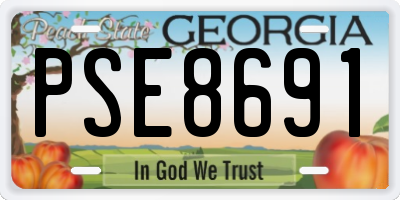 GA license plate PSE8691