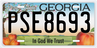 GA license plate PSE8693