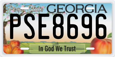 GA license plate PSE8696