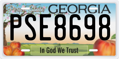 GA license plate PSE8698