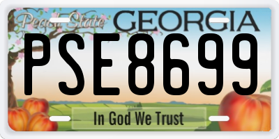 GA license plate PSE8699