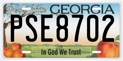 GA license plate PSE8702