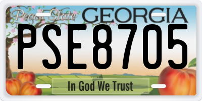 GA license plate PSE8705