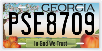 GA license plate PSE8709