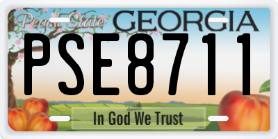 GA license plate PSE8711