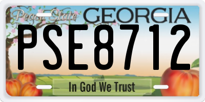 GA license plate PSE8712