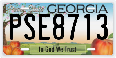 GA license plate PSE8713
