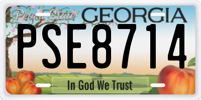 GA license plate PSE8714