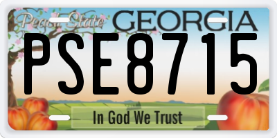 GA license plate PSE8715