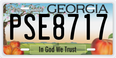 GA license plate PSE8717