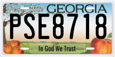GA license plate PSE8718