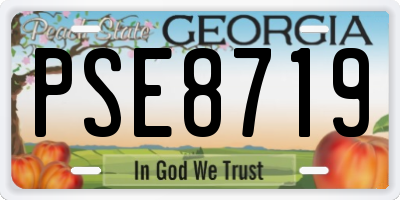 GA license plate PSE8719
