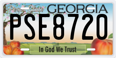 GA license plate PSE8720