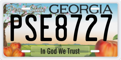 GA license plate PSE8727
