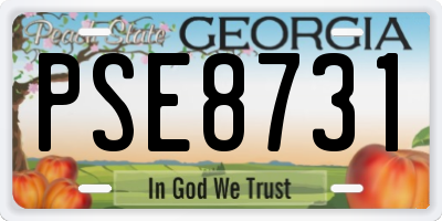 GA license plate PSE8731
