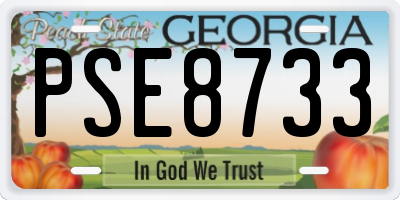 GA license plate PSE8733