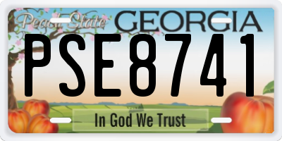 GA license plate PSE8741