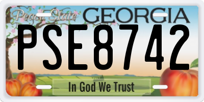 GA license plate PSE8742