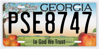 GA license plate PSE8747